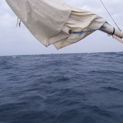 trumpha69's profile picture. en instance de fermeture de compte