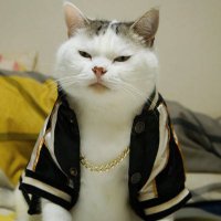 Isaac_liu1874๐บ๐ฆ๐น๐ผ (@isaacsting1874) 's Twitter Profile