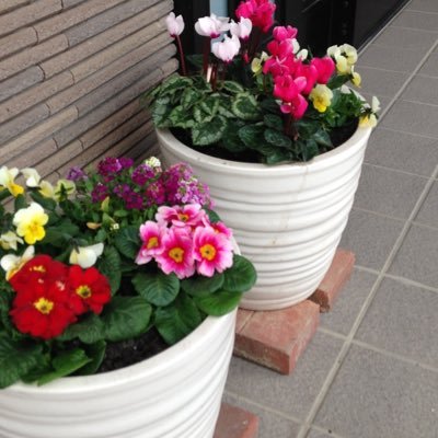 eHwidnYz5ZlS7aq's profile picture. 