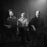 Timber Timbre (@timber_timbre) Twitter profile photo