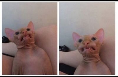 Hugsnkisses1891's profile picture. Birthday: May 24, 1994