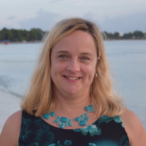 SneeziePacker's profile picture. Uber-organized Cheesehead, crazy for new technology, coffee lover, owner of Organized Images, LLC.