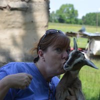 LeAnne Wolford (@aigwolford) 's Twitter Profile Photo LeAnne Wolford (@aigwolford) 's Twitter Profile Photo