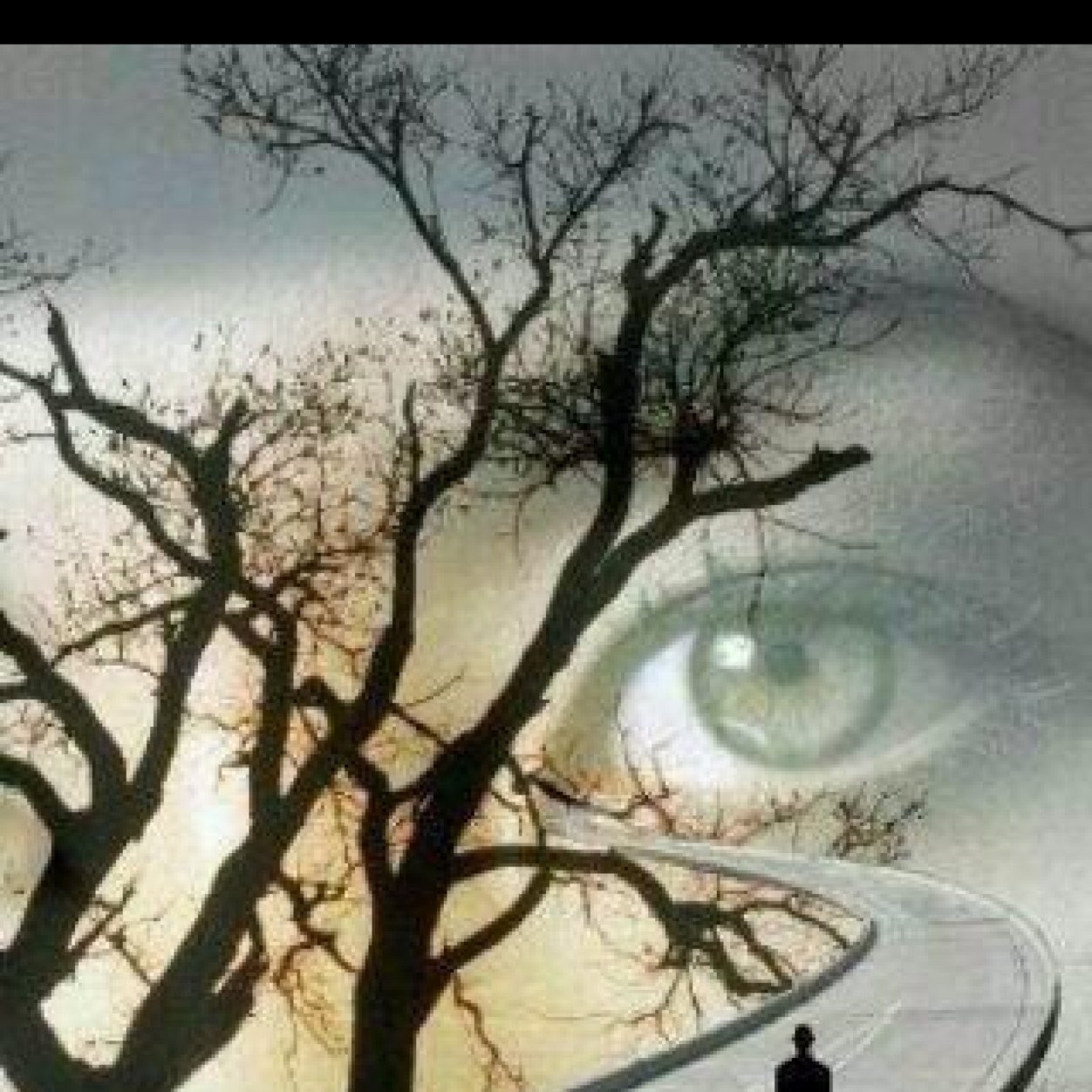 من دلعك on Twitter "_5960227490311 yaroo7roo7e طيب حط