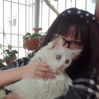 Nguyen VietChau Linh (@chaulinh93) 's Twitter Profile