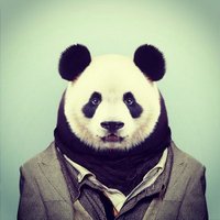 Christoph Kalt (@chr_kal) 's Twitter Profile