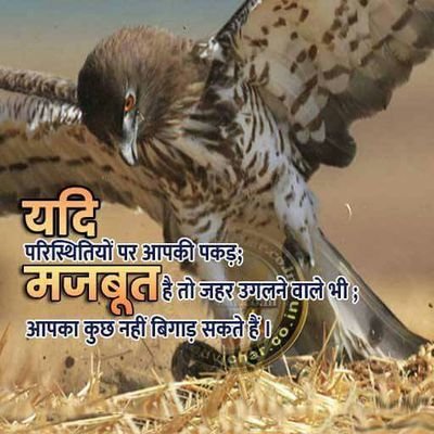 Mehulkanchen3's profile picture. 