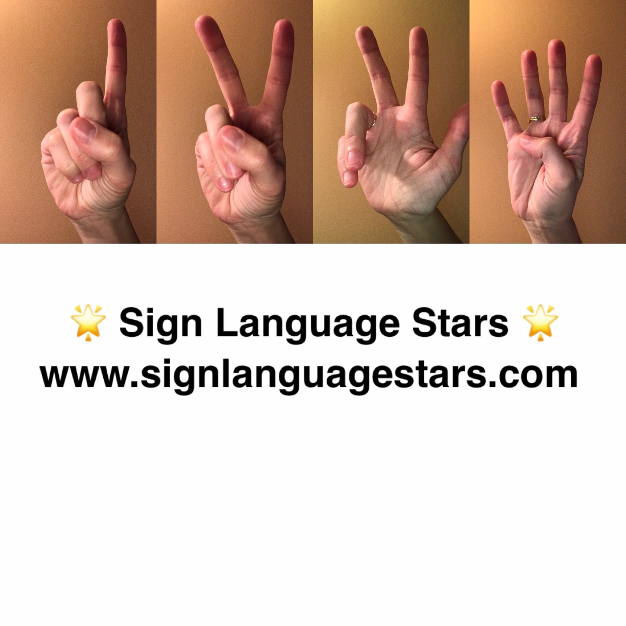 SignLangStars's profile picture. #signlanguagestars #signlangstars