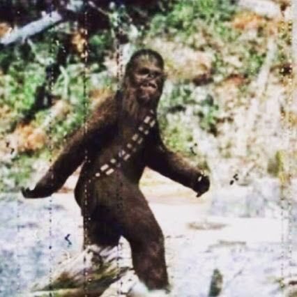 smjpilot's profile picture. Business Analyst, Web Developer, Glider Pilot, 
Husband, Dad, Uncle, Brother,
˗ˏˋ˗ˏˋStar wars fanˊˎ˗ˊˎ˗