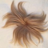Donald Trump Toupee (@trumpeetoupee) 's Twitter Profile