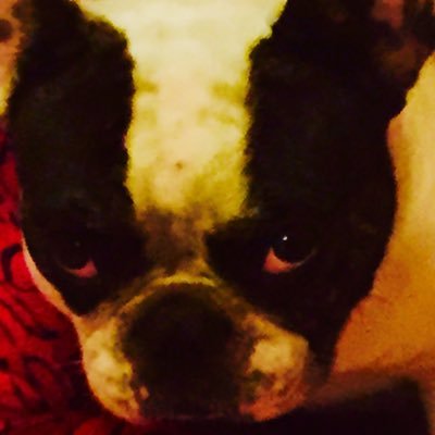 a31817589x's profile picture. 