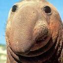 Thomas Gorr - @Thomas_Gorr - Twitter