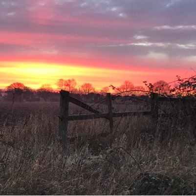 Julies_Jules999's profile picture. Handmade jewellery, tiaras and hair accessories. Photography. Ops Admin at AWS, EMT, and CFR for EEAST. All views are my own.