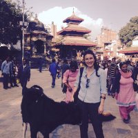 pascale lamb (@pascalelamb) 's Twitter Profile