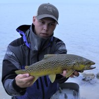 Christoffer Løvås (@norboy2k) 's Twitter Profile