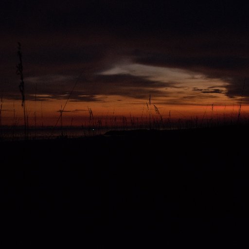 meeler_art's profile picture. 