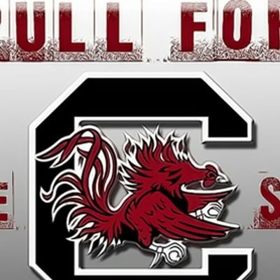 I am 33 yrs old,from Greenville SC.i love my gamecocks,my Panthers,an my mustangs.im a country boy by birth,an a southern gentlemen by choice.