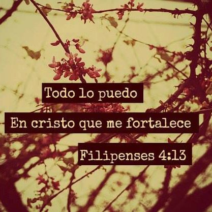 En mi nombre echarán fuera demonios; hablarán nuevas lenguas; tomarán en las manos serpientes, y si bebieren cosa mortífera, no les hará daño. Marcos16: 17,18.