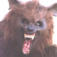 Werewolf TV(@werewolftv1987) 's Twitter Profile Photo