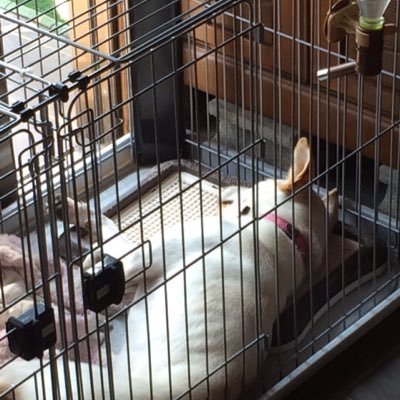 rackt_a's profile picture. 