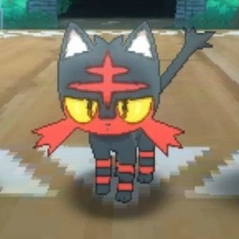 Itz yo boi wolf