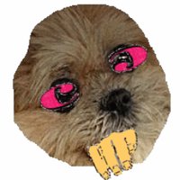 frown drescher (@snoggybox) 's Twitter Profile Photo frown drescher (@snoggybox) 's Twitter Profile Photo