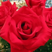 همـسٌ (@fgr09099) 's Twitter Profile