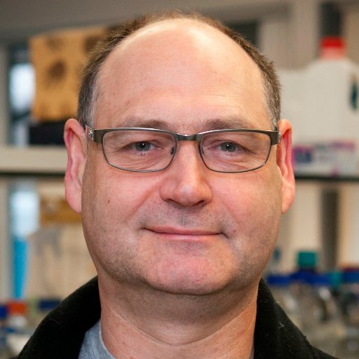 Molecular and biochemical research into the parasite causing the neglected tropical disease leishmaniasis. Director of YBRI. Co-director of DiMeN.