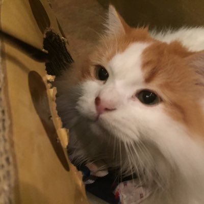 Urlパス 売買糧 じゃに糧 新魂糧 タレコミ ジャニーズ糧 ジャニナレ 馴れ合い Jamp糧 Url 嵐魂糧 新列糧 新オンナネタ 求 所持してるurlのパス 上記以外の糧とのurlパスとの交換探してます Dmお待ちしてます Urlパス 売買糧 じゃに糧 新魂糧 タレコミ ジャニーズ糧 ジャニナレ 馴れ合い Jamp糧 Url 嵐魂糧 新列糧 新オンナネタ 求 所持してるurlのパス 上記以外の糧とのurlパスとの交換探してます Dmお待ちしてます
