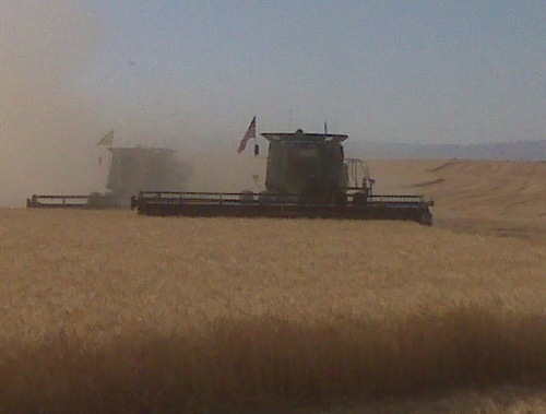 RyanRademacher's profile picture. 