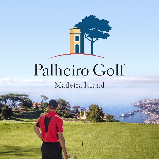 palheirogolf Profile Picture