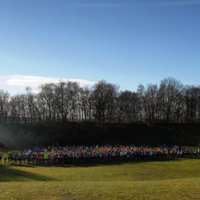 Action Heart Running (@actionheartruns) 's Twitter Profile
