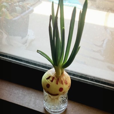 puimanntai_tos's profile picture. ときをきざむ