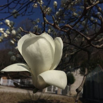 crowndens3times's profile picture. マイナー科