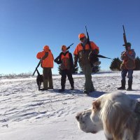 Bill Van Camp (@billvancamp) 's Twitter Profile