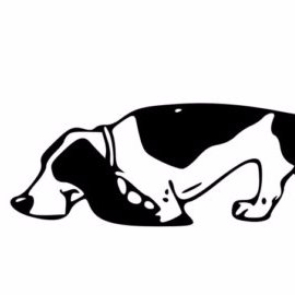 ToGatherFest's profile picture. Sniffing out quality house shows for Indie artists. To be considered for listing:
 houseshowhound@gmail.com
https://t.co/IgGrOE31zW