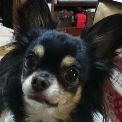 たいふうさんのプロフィール画像