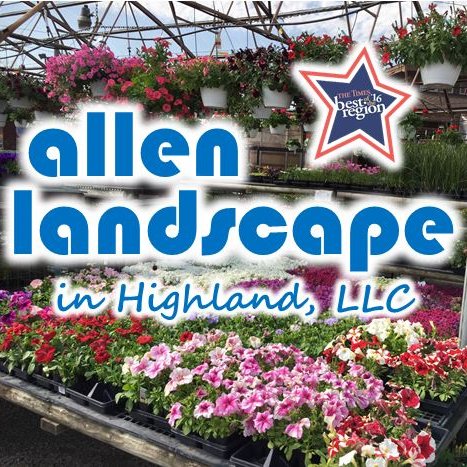 Allen_Landscape Profile Picture