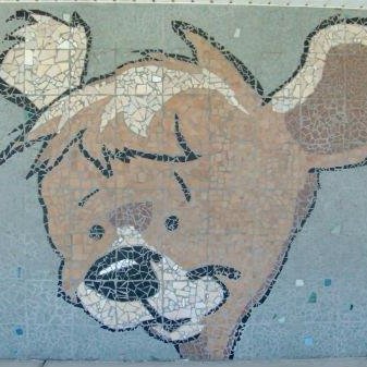 HCPSCorrElem's profile picture. 