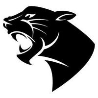 Pleasant View MS (@tdsb_pvpanthers) 's Twitter Profile
