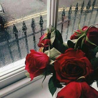 S_a_alshehri's profile picture. اللهم إني أسألك علما نافعا، ورزقا طيبا، وعملا متقبلا