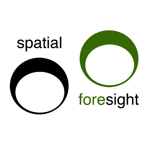 Spatial Foresight
