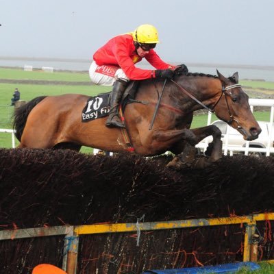 Bellharbour Point to Point - Co Clare Hunt - Sun 6th Feb 2022