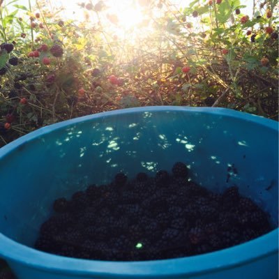 oohbabyooh963's profile picture. Envisioned a new business model that creates a new business practice that makes the world want to come together. Also passionate about health,exercise& outdoors