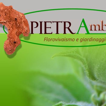 PIETRAMBIENTE s.r.l. è un’azienda in forte espansione che opera nel settore floro-vivaistico. Serietà, qualità, precisione, puntualità.