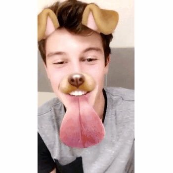 Vote for @ShawnMendes RealAccount: @KingdomOfMendes