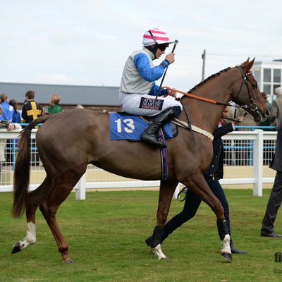 Professional NH Trainer  
'Realising the Potential of Your Horse'. 
Sponsored by: CBES, Helder Roberts Solicitors & Amy Cox Vet Physio