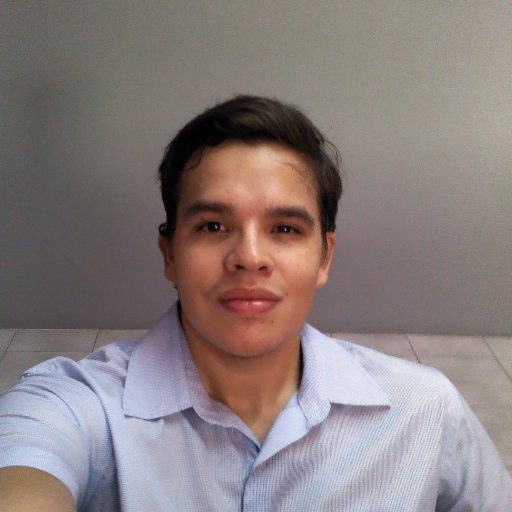 Web programmer, Wordpress expert, designing and creating modern and responsive websites, online stores and more..