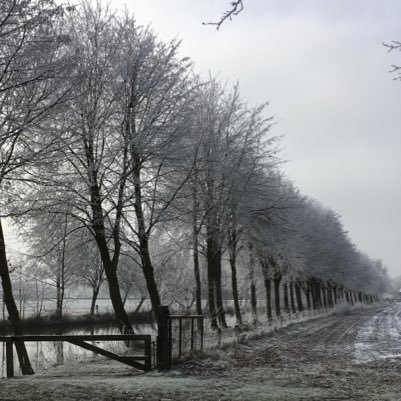 Retail_en_meer's profile picture. Retail en meer .....