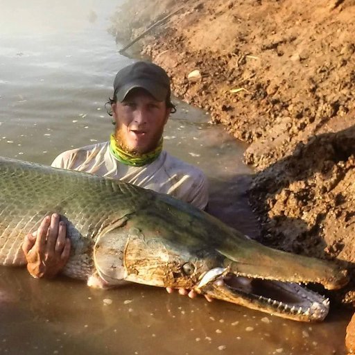 Just a dad and a husband..Been working on my YouTube channel SharkBaitTV..Im a catch and release only Alligator Gar guide In Tx